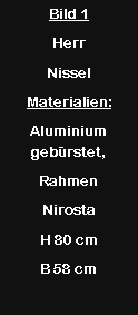 Textfeld: Bild 1HerrNisselMaterialien:Aluminium geb�rstet, Rahmen NirostaH 80 cmB 58 cm