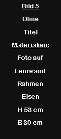 Textfeld: Bild 5Ohne TitelMaterialien:Foto aufLeinwandRahmen EisenH 58 cmB 80 cm