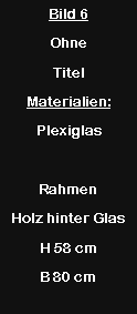 Textfeld: Bild 6Ohne TitelMaterialien:PlexiglasRahmen Holz hinter GlasH 58 cmB 80 cm
