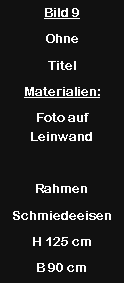 Textfeld: Bild 9Ohne TitelMaterialien:Foto auf LeinwandRahmen SchmiedeeisenH 125 cmB 90 cm