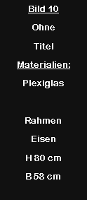 Textfeld: Bild 10Ohne TitelMaterialien:Plexiglas Rahmen EisenH 80 cmB 58 cm