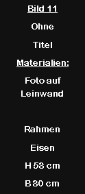 Textfeld: Bild 11Ohne TitelMaterialien:Foto auf Leinwand Rahmen EisenH 58 cmB 80 cm